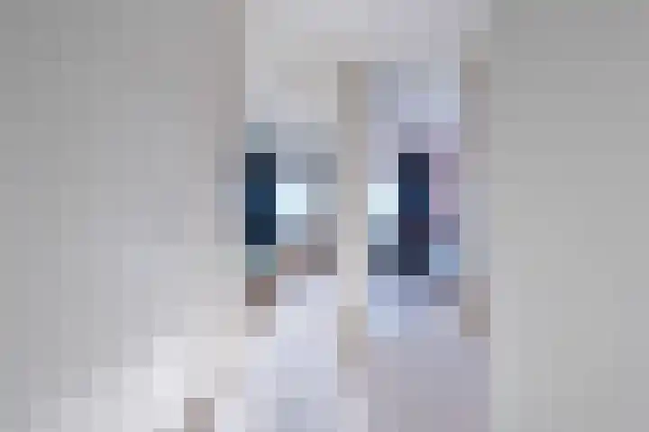 Kleine Waal 80 Papendrecht thumbnail 11