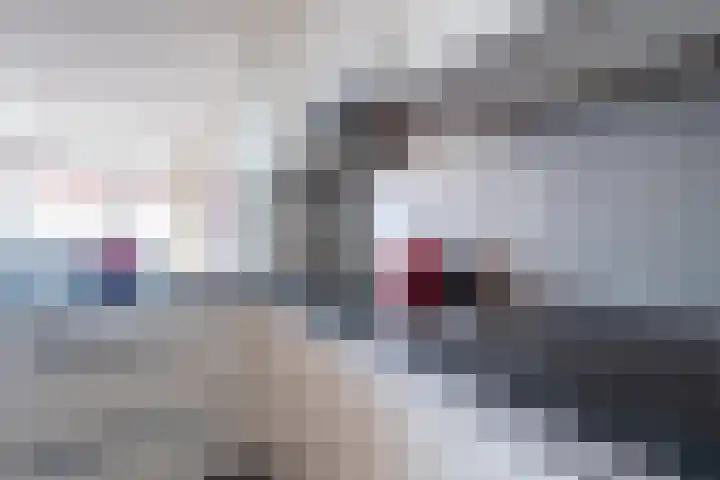 Kleine Waal 80 Papendrecht thumbnail 22