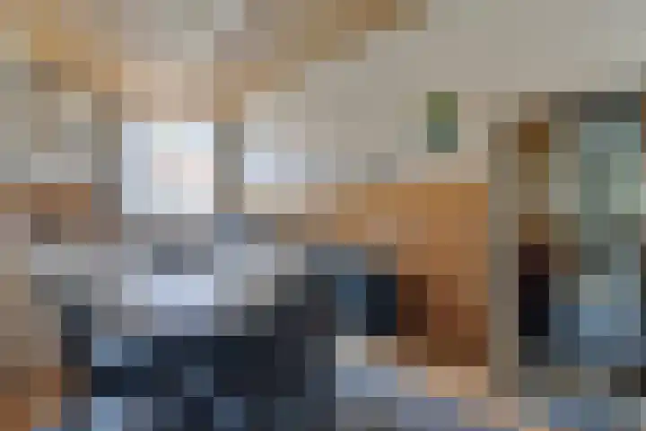 Kleine Wal 10 Vlodrop thumbnail 10