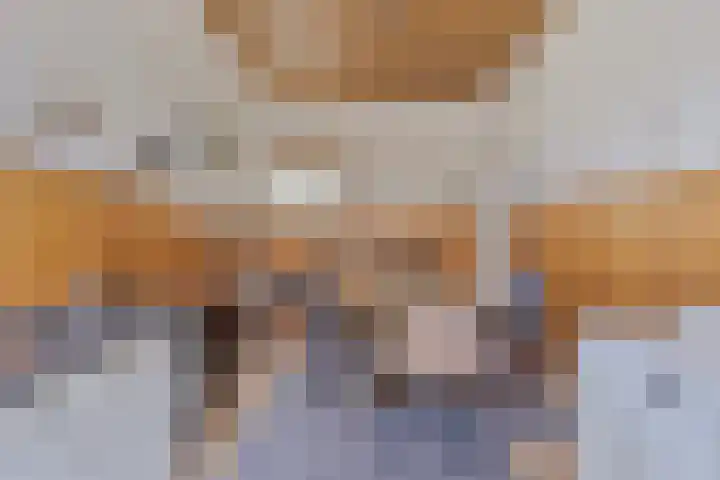 Kleine Wal 10 Vlodrop thumbnail 12