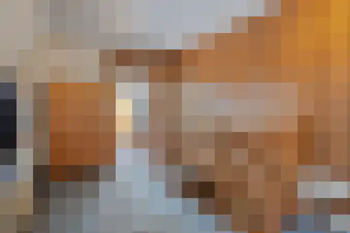 Kleine Wal 10 Vlodrop thumbnail 14