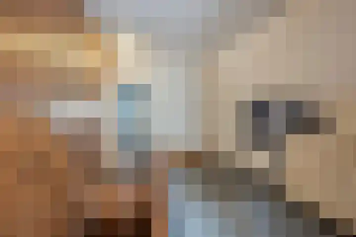 Kleine Wal 10 Vlodrop thumbnail 15