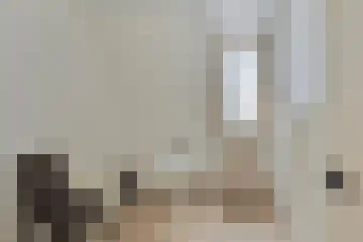 Kleine Wal 10 Vlodrop thumbnail 20