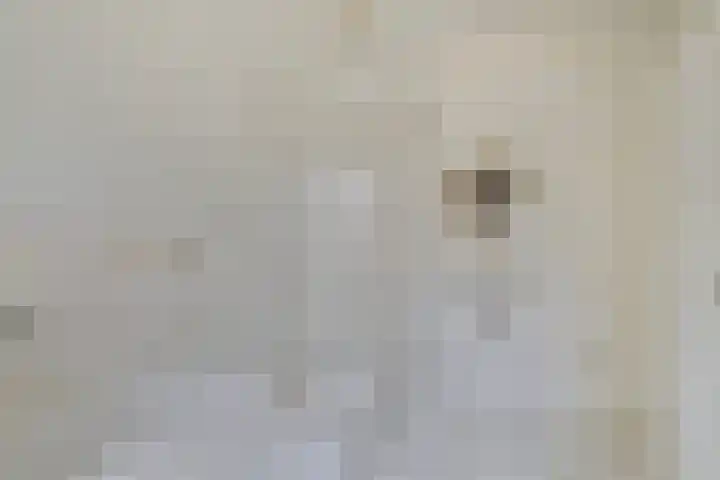 Kleine Wal 10 Vlodrop thumbnail 25