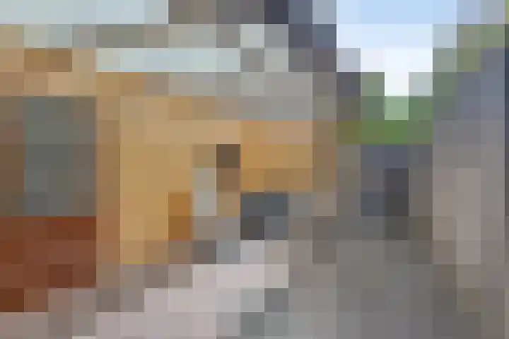 Kleine Wal 10 Vlodrop thumbnail 28