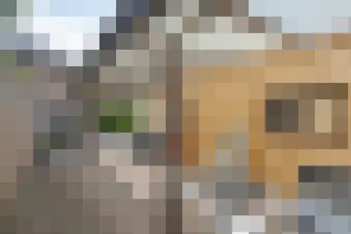 Kleine Wal 10 Vlodrop thumbnail 29