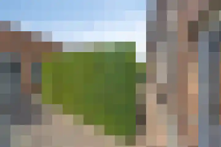 Kleine Wal 10 Vlodrop thumbnail 30