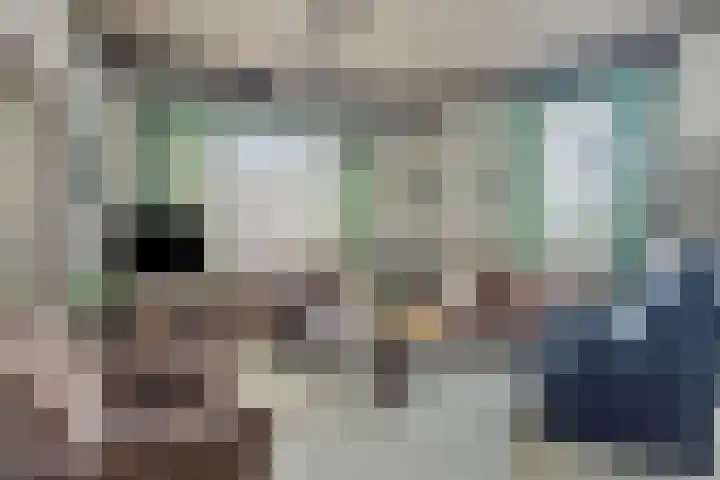 Kleine Wal 10 Vlodrop thumbnail 6