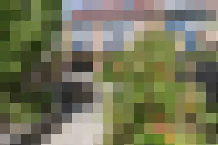Kleine Weekamp 4 Weesp thumbnail 22