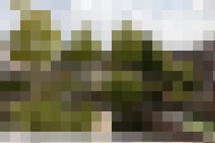 Kleine Weekamp 4 Weesp thumbnail 31