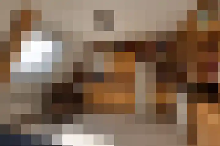 Kleine Weekamp 4 Weesp thumbnail 34
