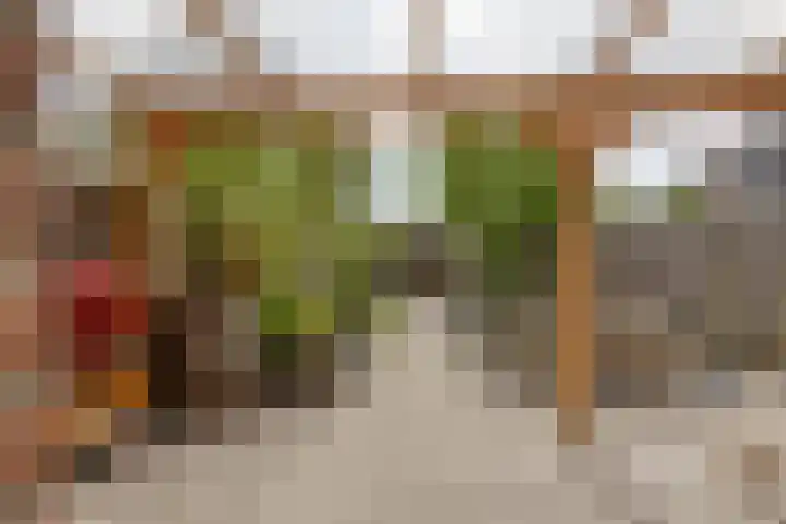 Kleine Weekamp 4 Weesp thumbnail 5