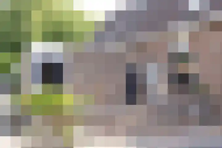 Kleine Weekamp 4 Weesp thumbnail 7