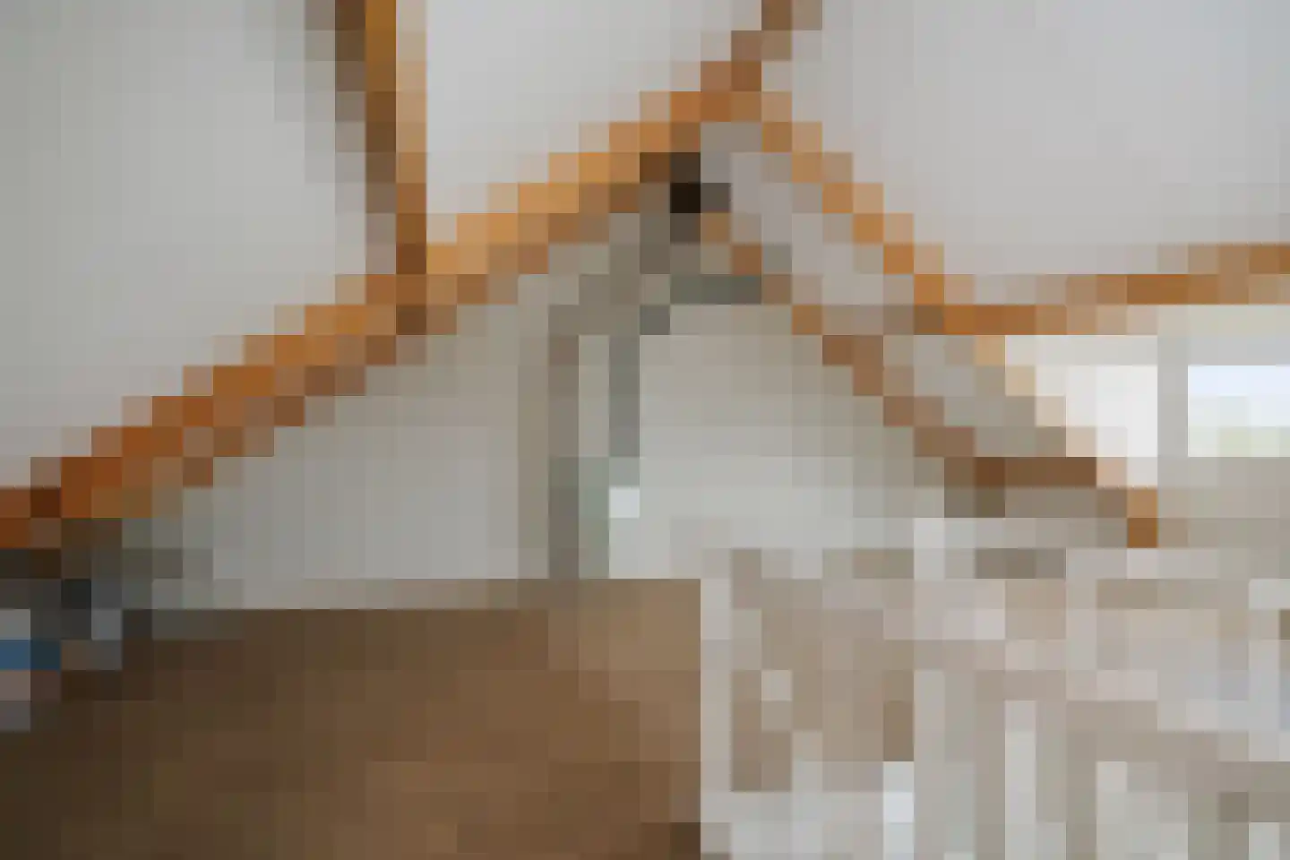 Kleine Weide 6 Olst thumbnail 25