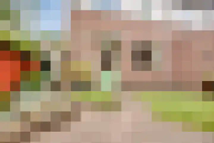 Kleine Weidehoeve 12 Vught thumbnail 25