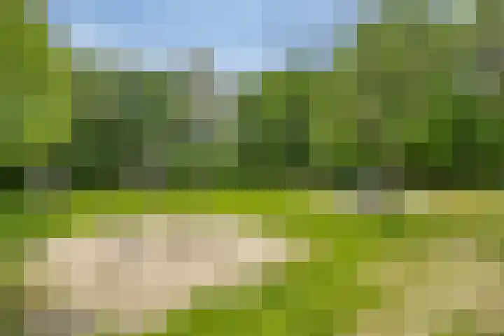 Kleine Weidehoeve 12 Vught thumbnail 29