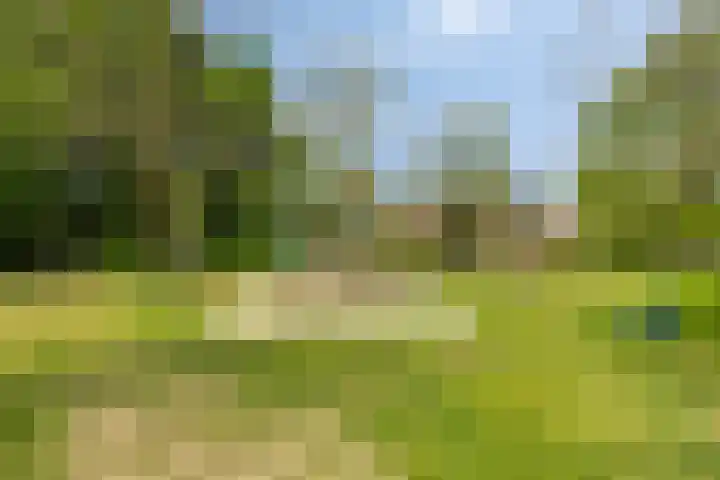 Kleine Weidehoeve 12 Vught thumbnail 30