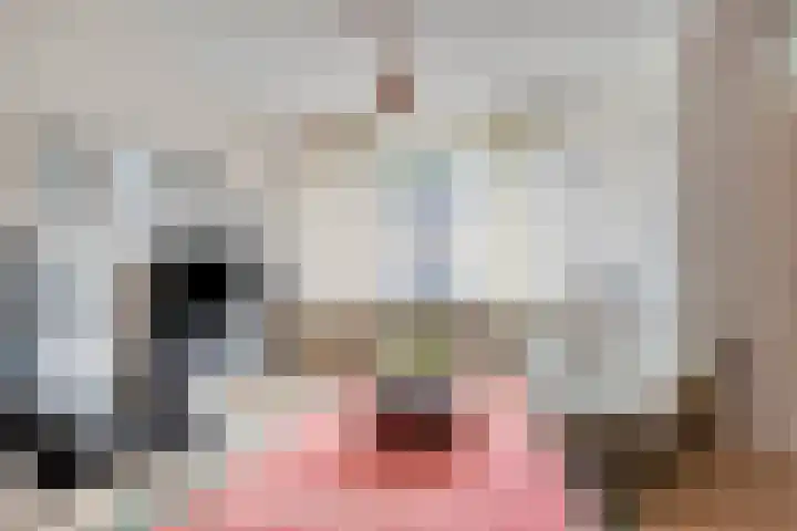 Kleine Weidehoeve 12 Vught thumbnail 7