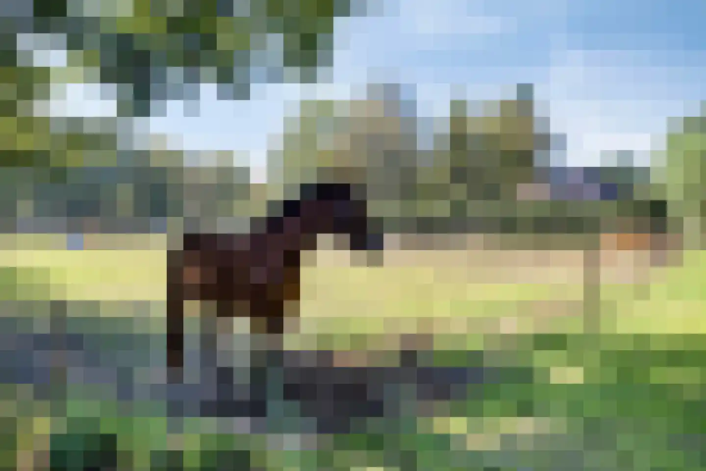 Kleine Weidehoeve 17 Vught thumbnail 28