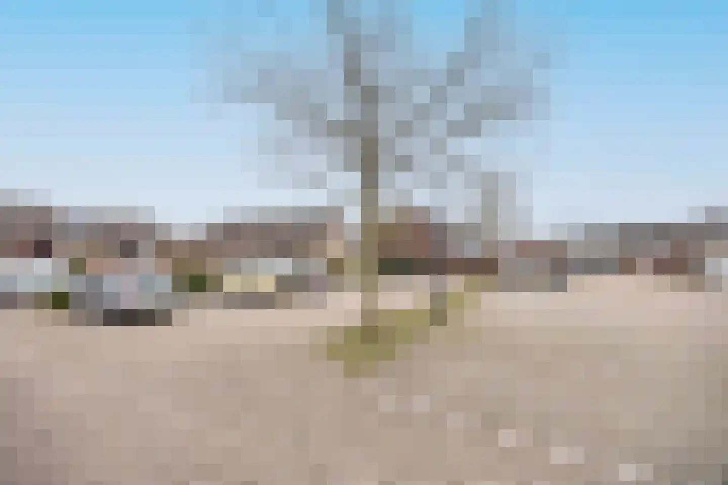 Kleine Weidehoeve 26 Vught thumbnail 27