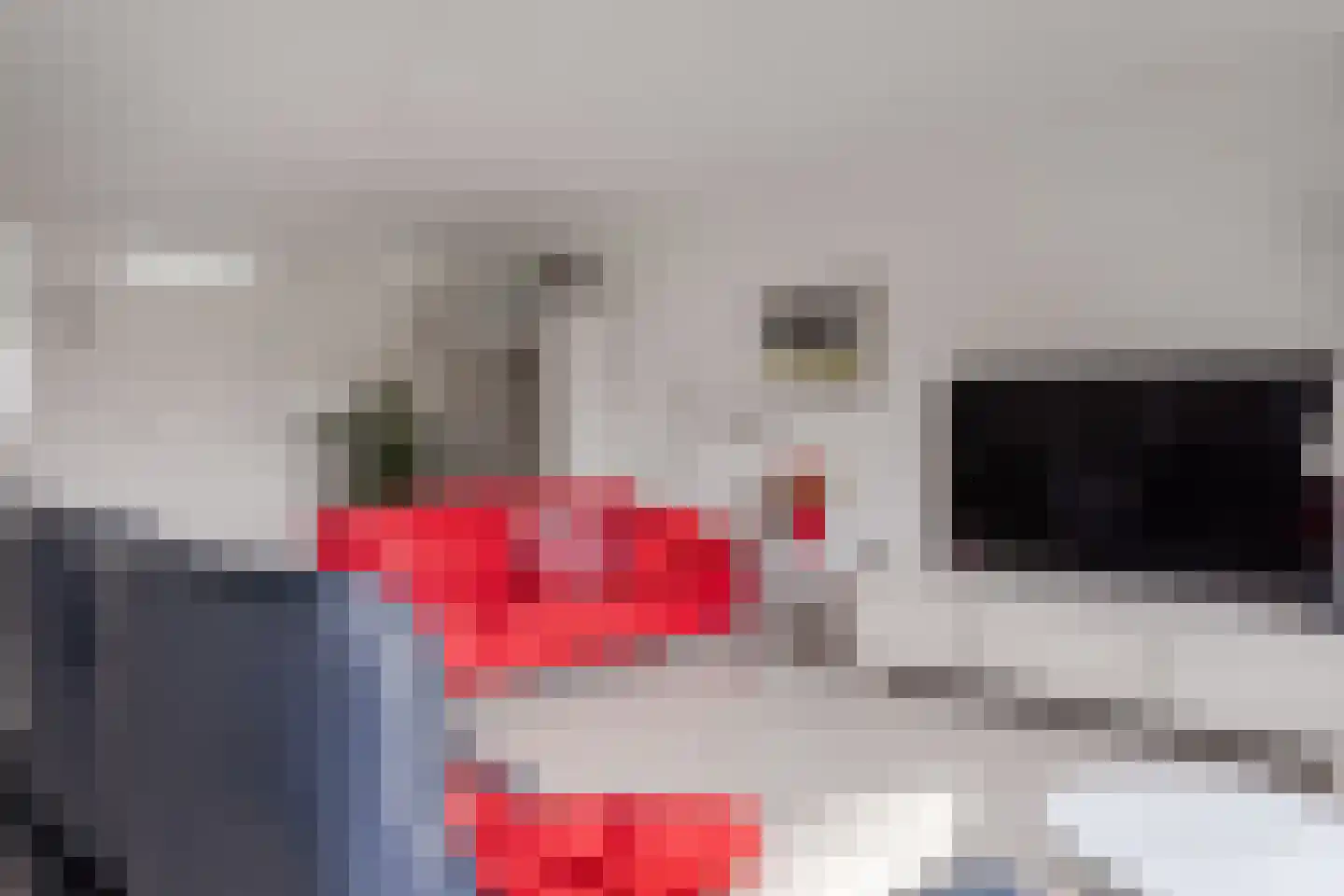 Kleine Werf 25 Oosthuizen thumbnail 10