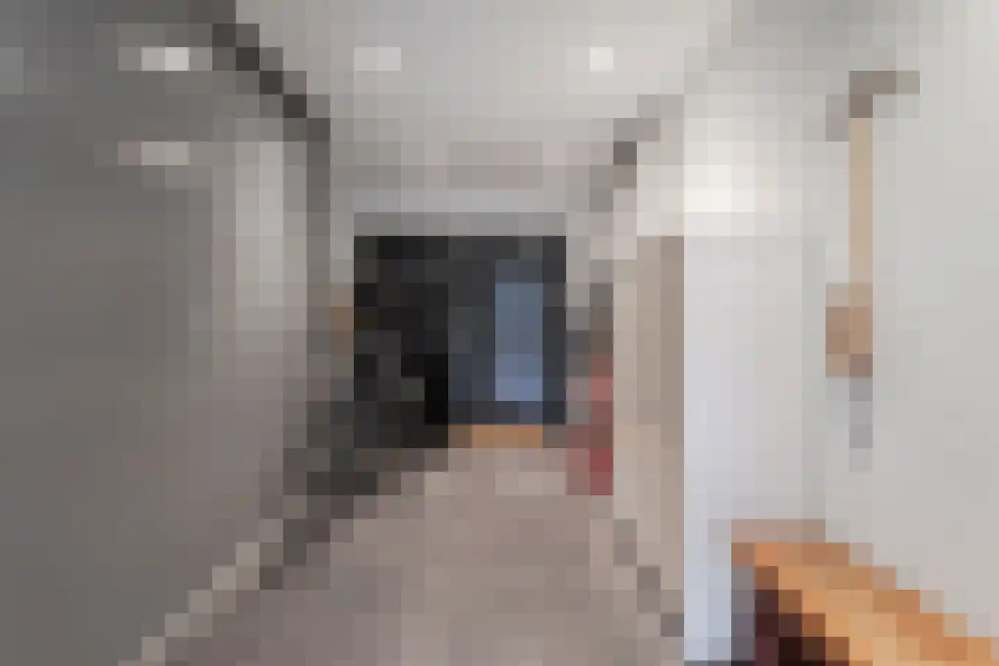 Kleine Werf 25 Oosthuizen thumbnail 16