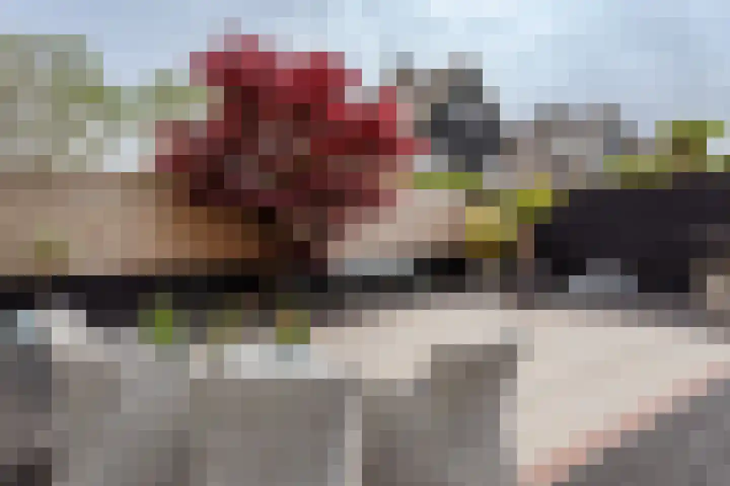 Kleine Werf 25 Oosthuizen thumbnail 29