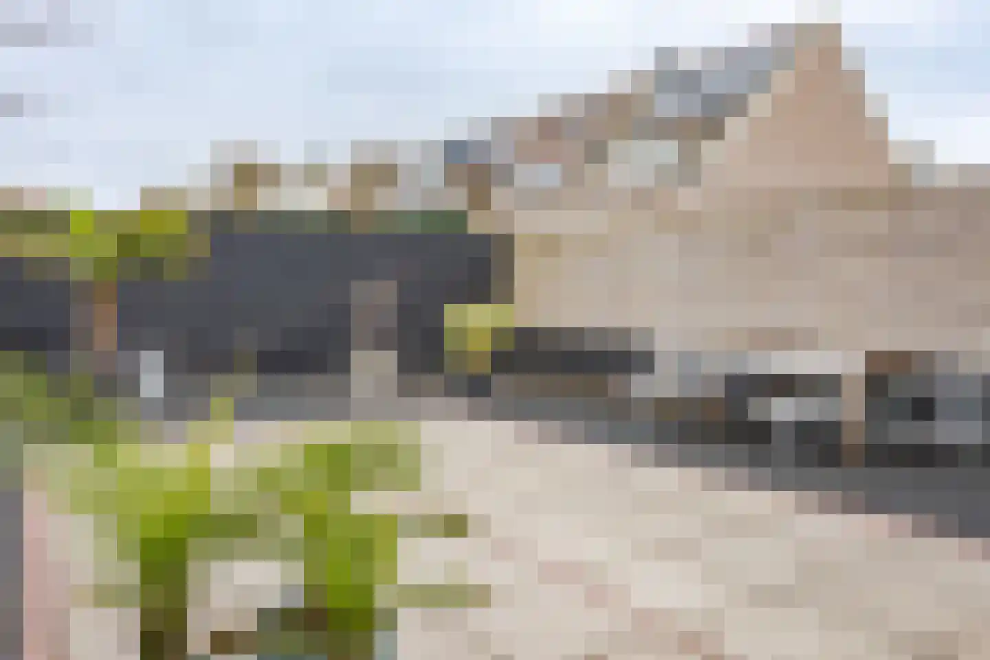 Kleine Werf 25 Oosthuizen thumbnail 30