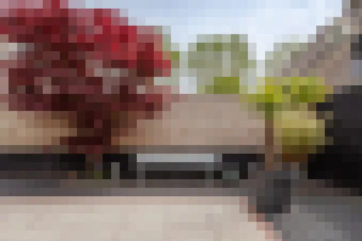 Kleine Werf 25 Oosthuizen thumbnail 32