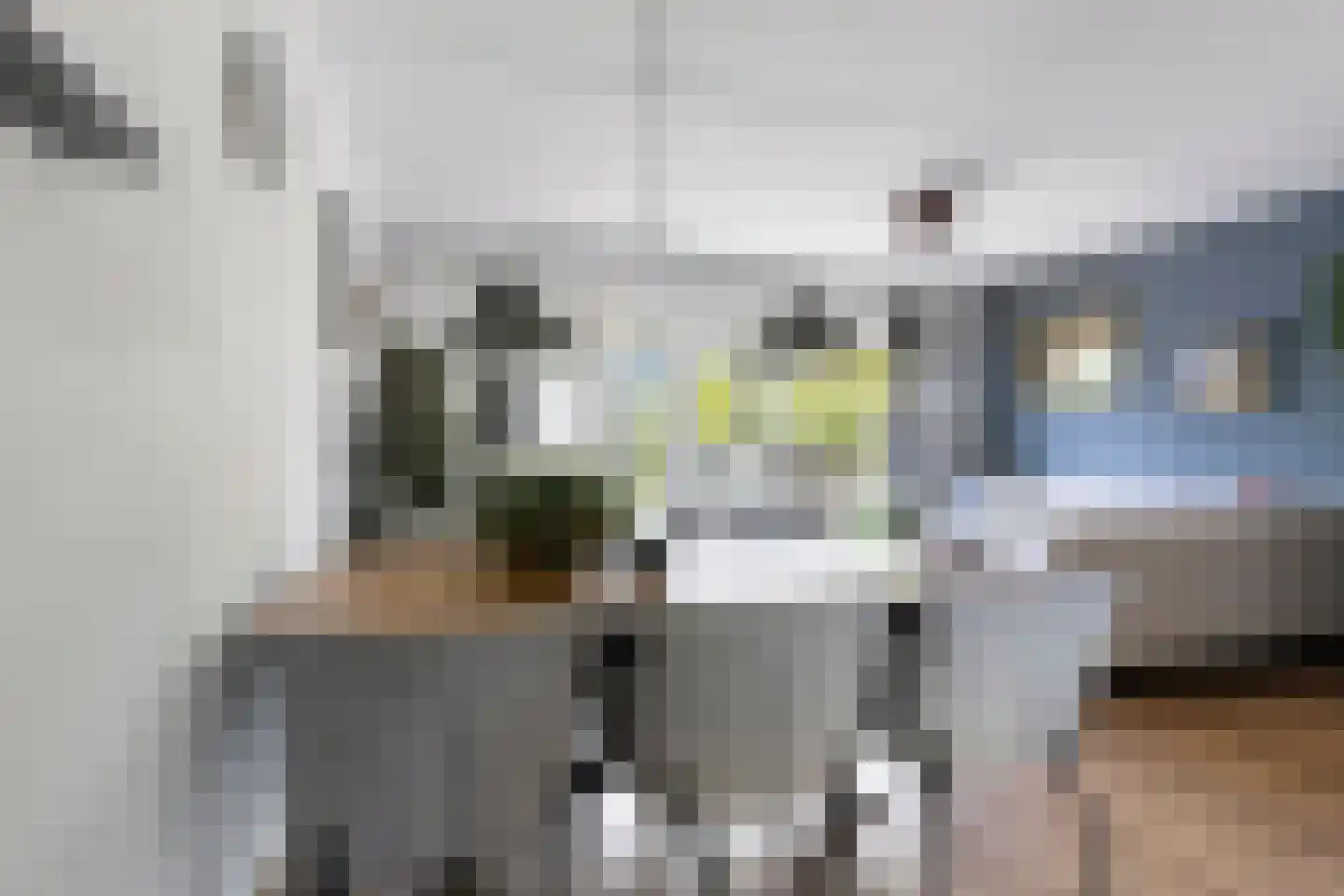 Kleine Werf 4 Oosthuizen thumbnail 13
