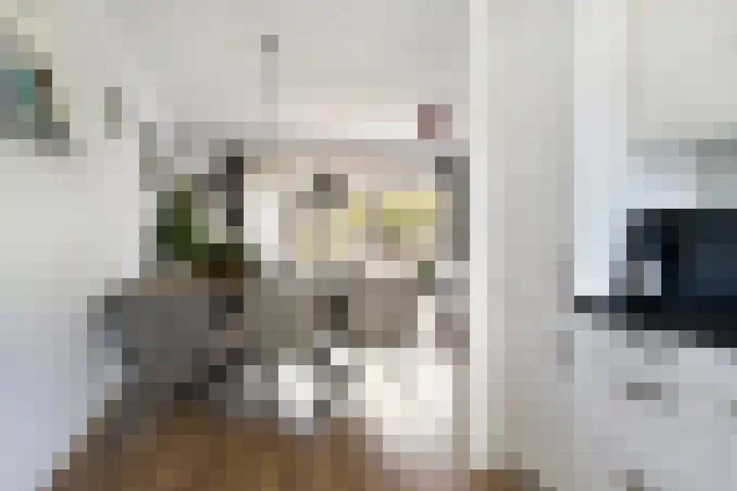 Kleine Werf 4 Oosthuizen thumbnail 15