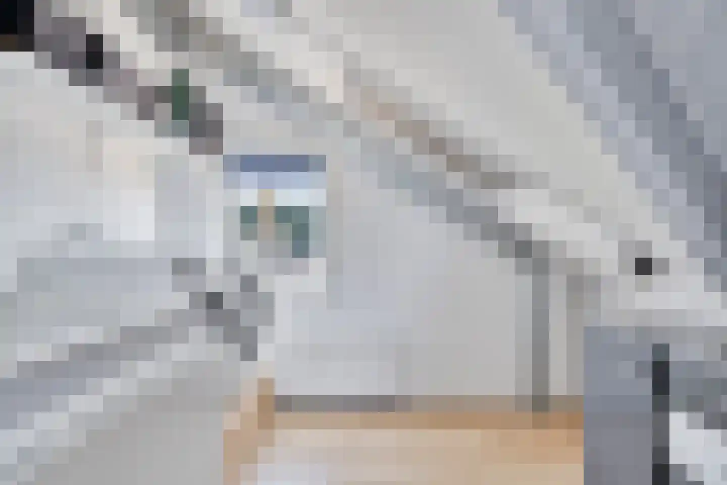 Kleine Werf 4 Oosthuizen thumbnail 21