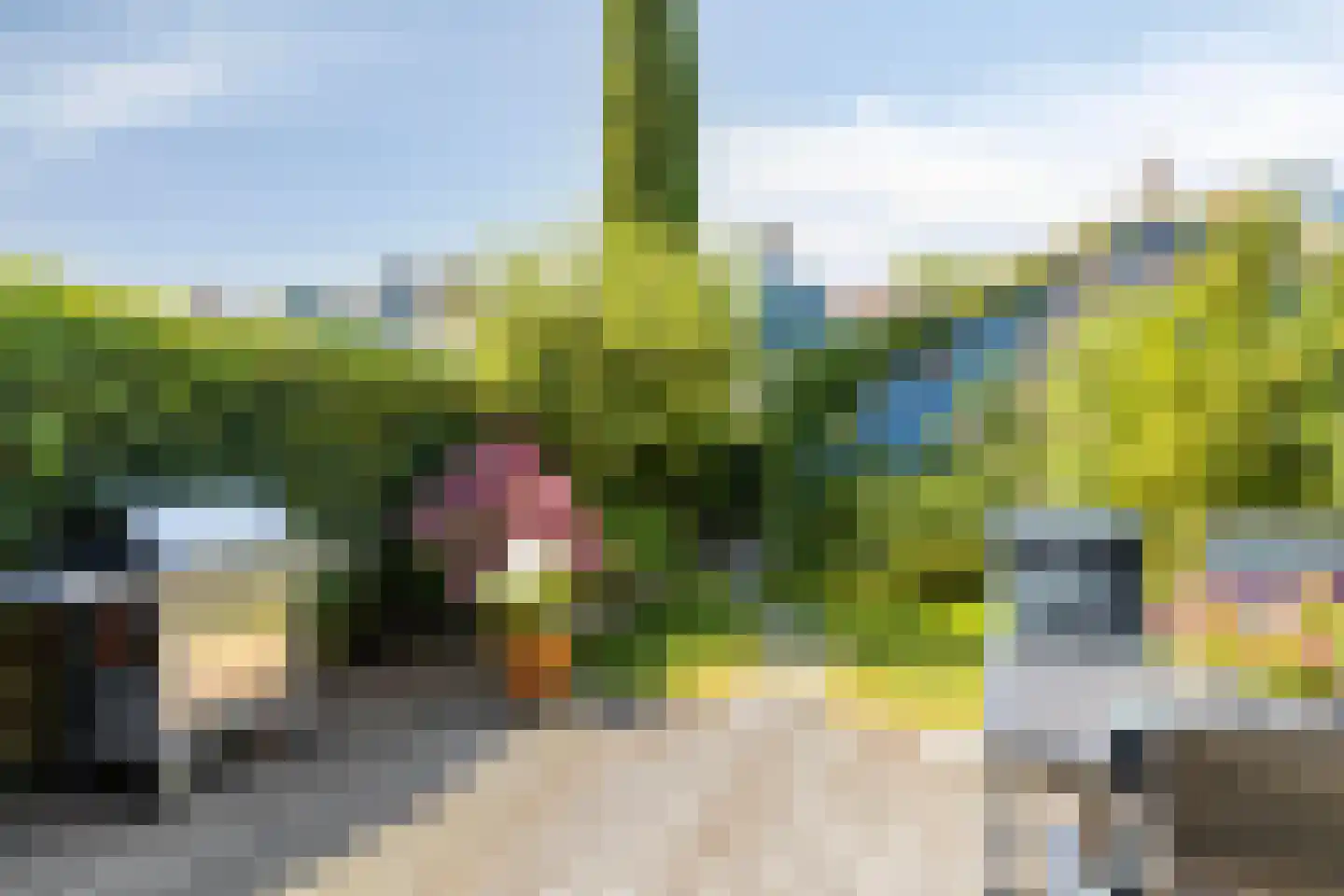 Kleine Werf 4 Oosthuizen thumbnail 27