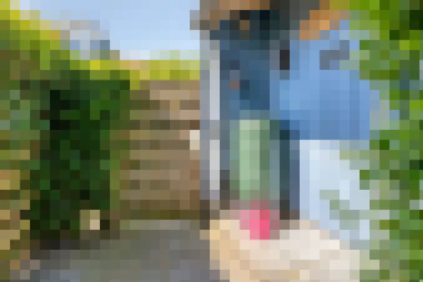 Kleine Werf 4 Oosthuizen thumbnail 29