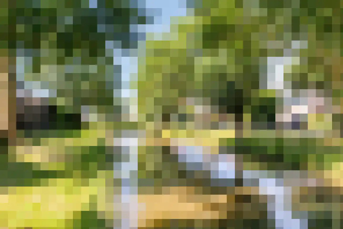 Kleine Werf 4 Oosthuizen thumbnail 31