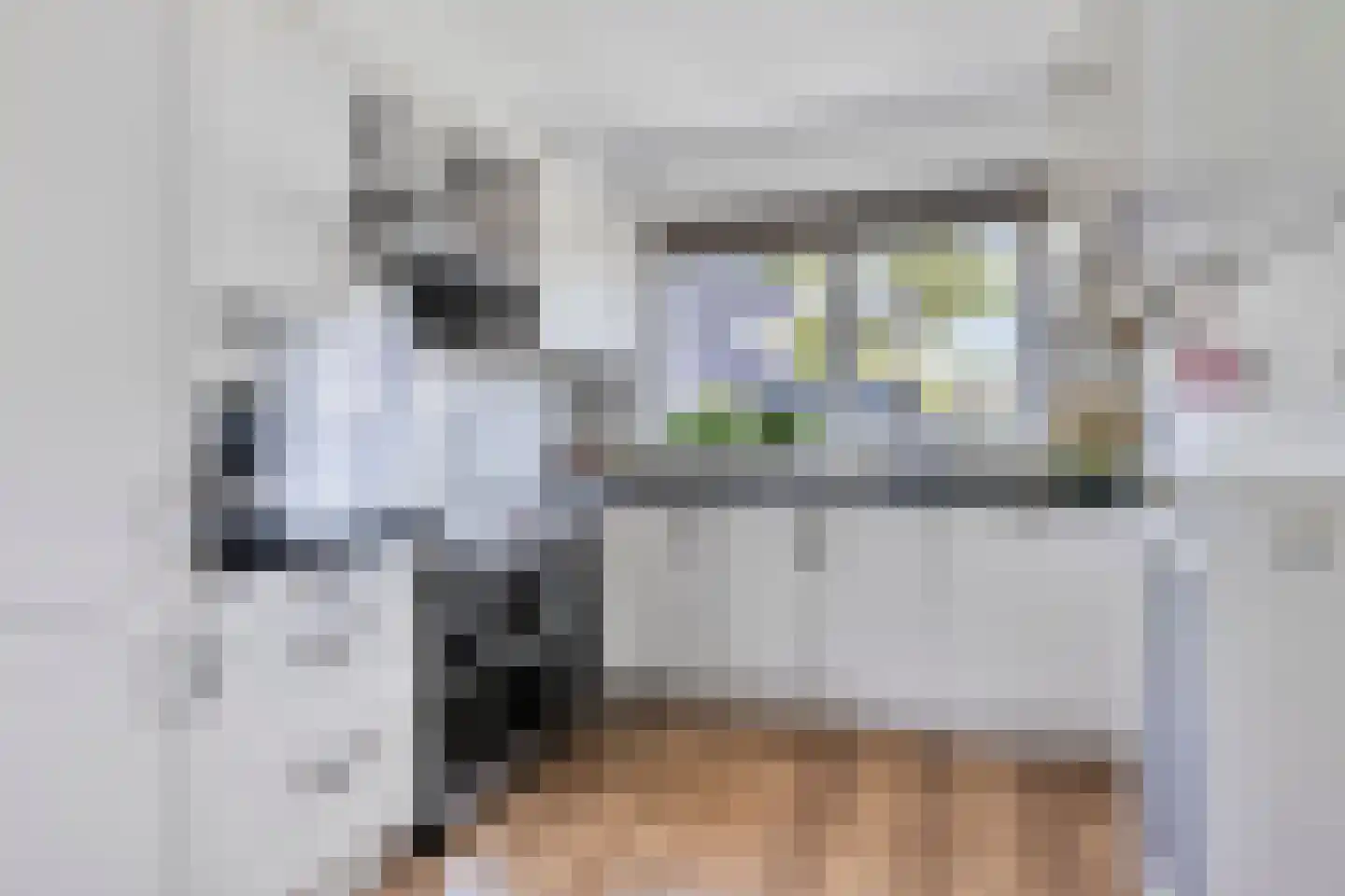 Kleine Werf 4 Oosthuizen thumbnail 4