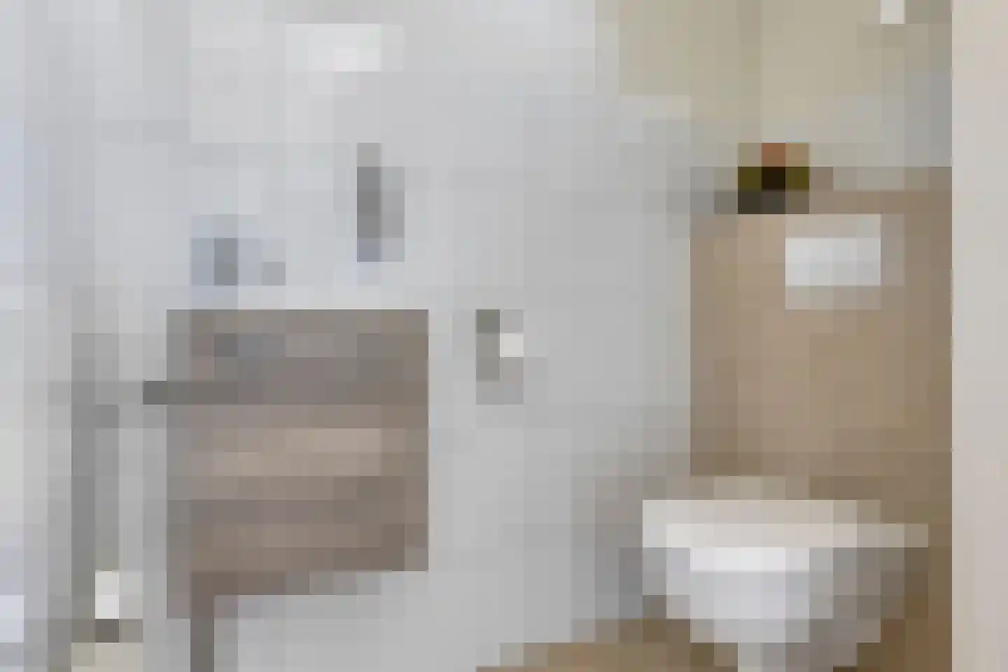 Kleine Werf 4 Oosthuizen thumbnail 9