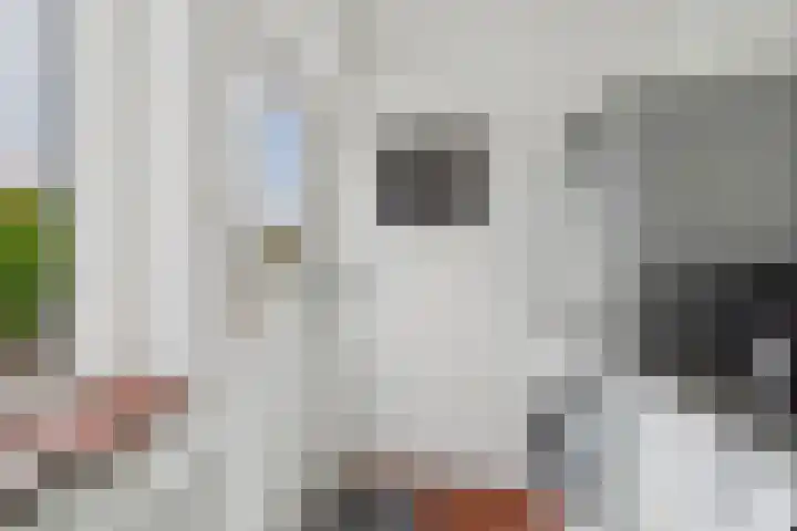 Kleine Werfstraat 11 Middelburg thumbnail 18