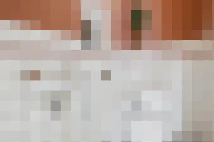 Kleine Werfstraat 11 Middelburg thumbnail 20