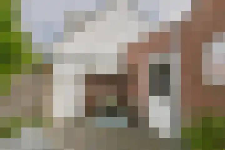 Kleine Werfstraat 11 Middelburg thumbnail 22