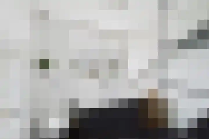 Kleine Werfstraat 11 Middelburg thumbnail 31