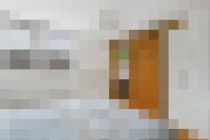 Kleine Werfstraat 11 Middelburg thumbnail 35