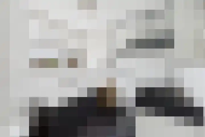 Kleine Werfstraat 11 Middelburg thumbnail 5