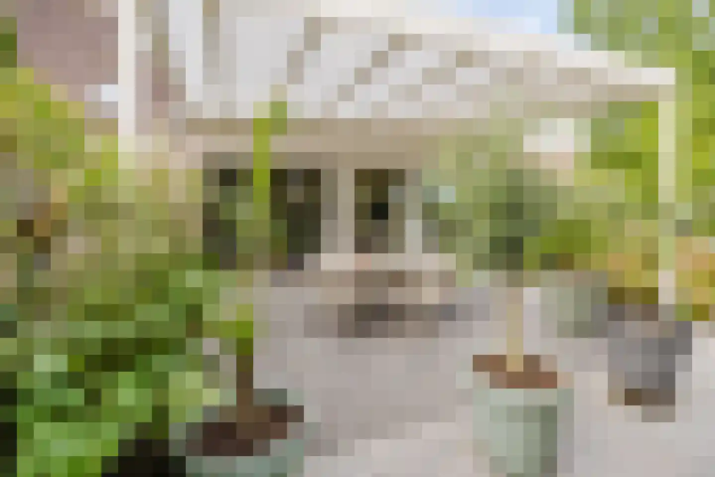 Kleine Wiel 12 Gorinchem thumbnail 14