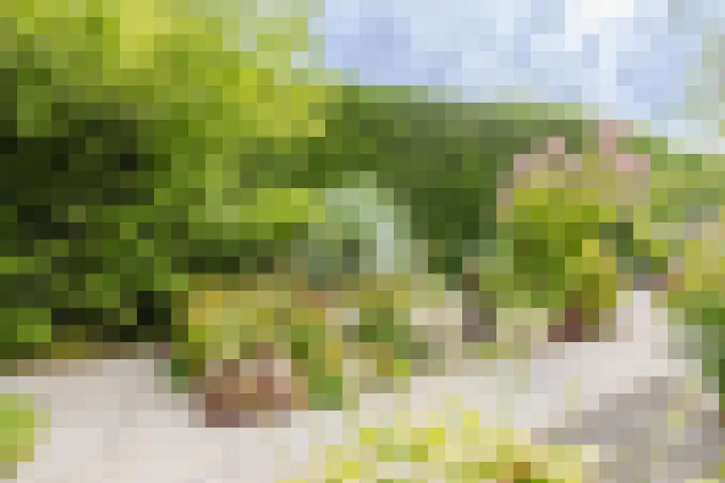 Kleine Wiel 12 Gorinchem thumbnail 15