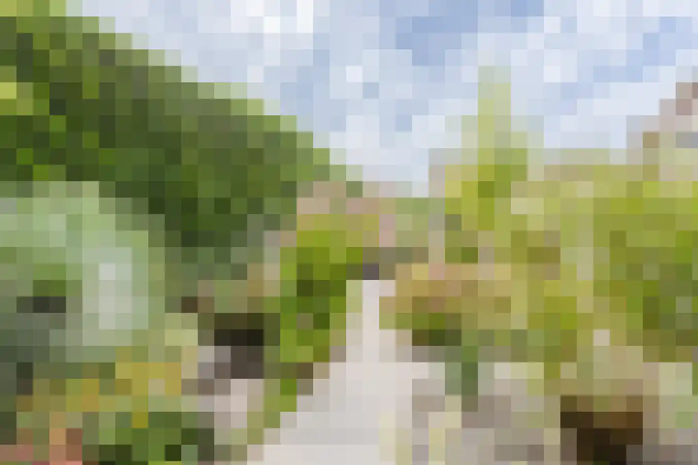 Kleine Wiel 12 Gorinchem thumbnail 16