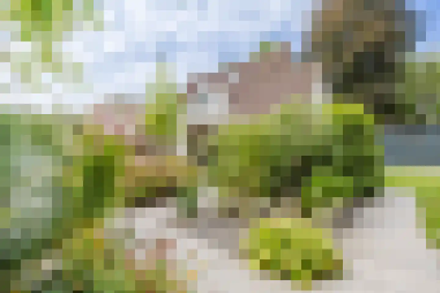 Kleine Wiel 12 Gorinchem thumbnail 18