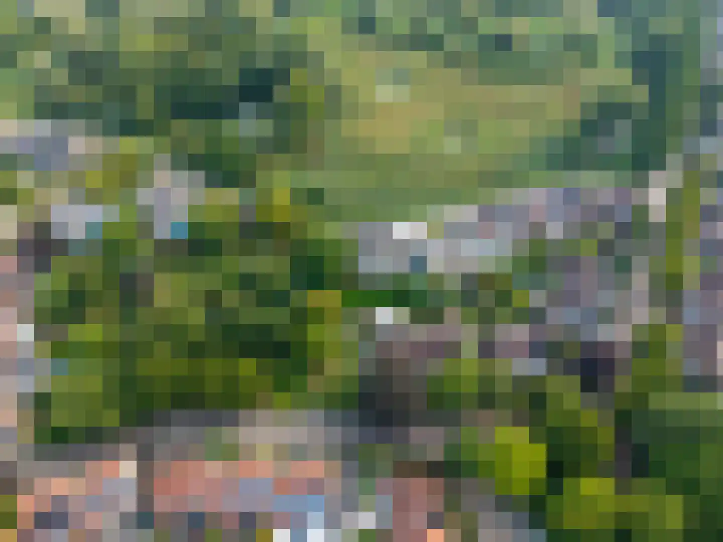Kleine Wiel 12 Gorinchem thumbnail 32