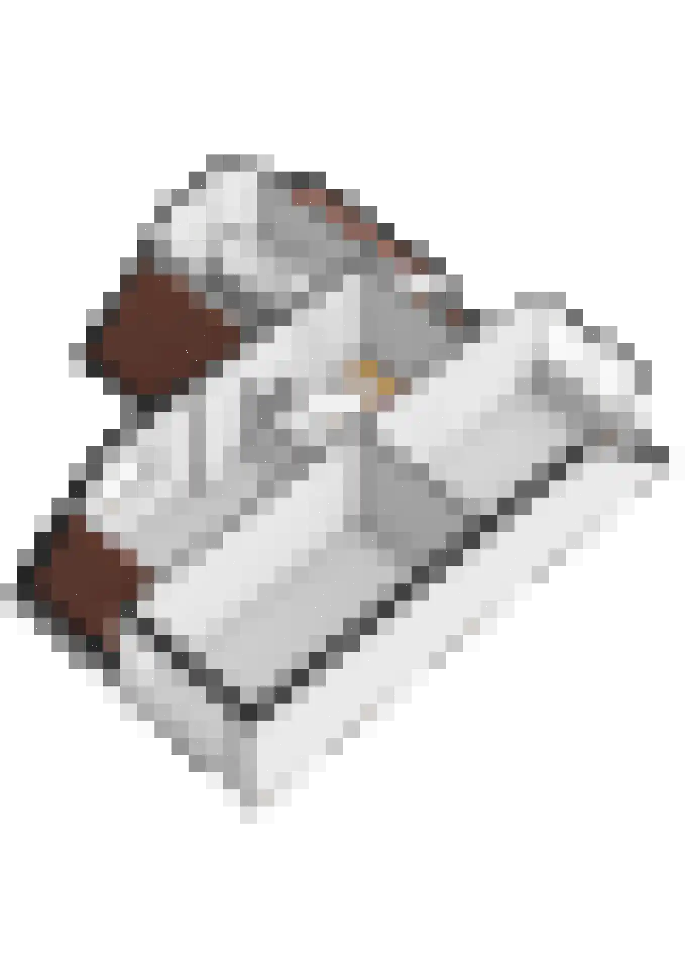 Kleine Wiel 12 Gorinchem thumbnail 36