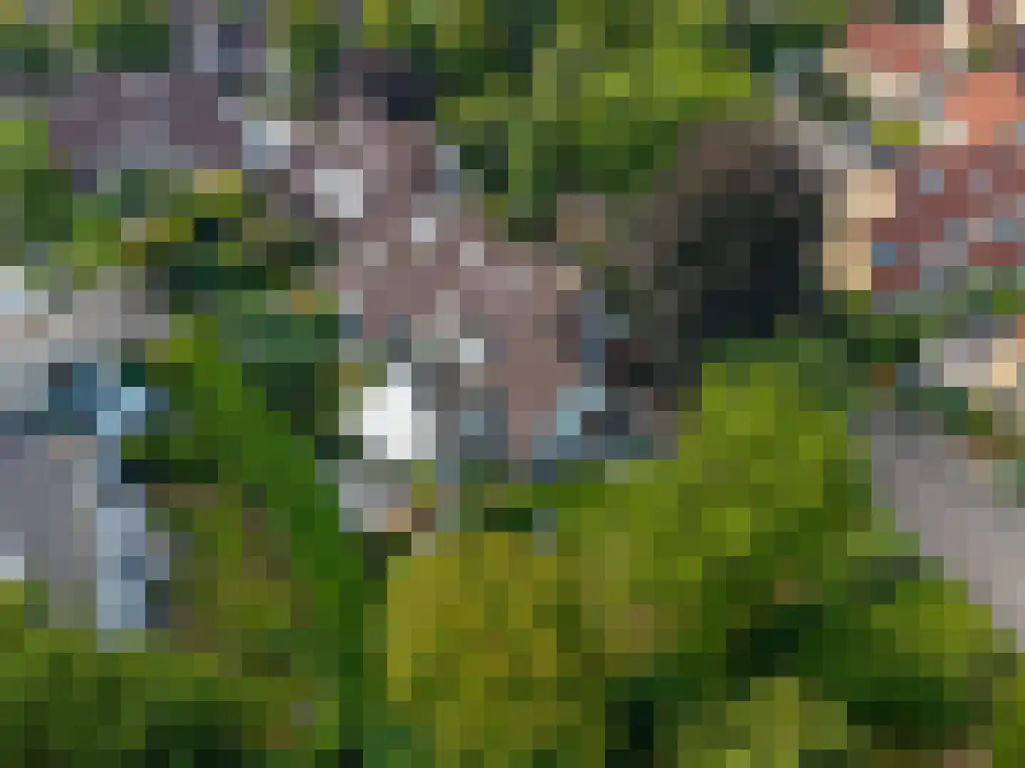 Kleine Wiel 12 Gorinchem thumbnail 4